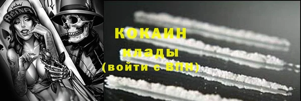 PSILOCYBIN Осинники