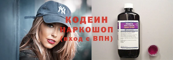 мдпв Елизово