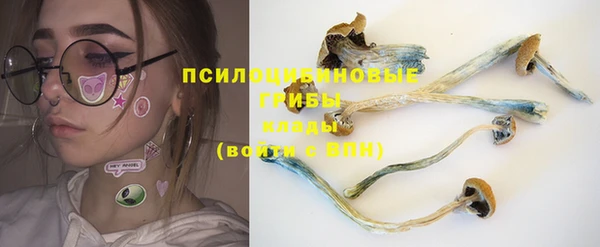 таблы Ельня