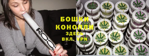 таблы Ельня