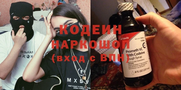 мдпв Елизово