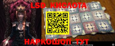 прущие грибы Камышлов