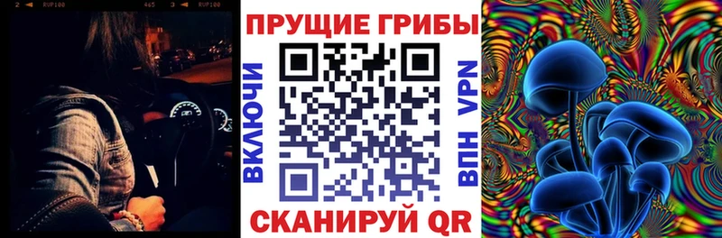 где купить наркотик  кракен как войти  Псилоцибиновые грибы Magic Shrooms  Новоалександровск 