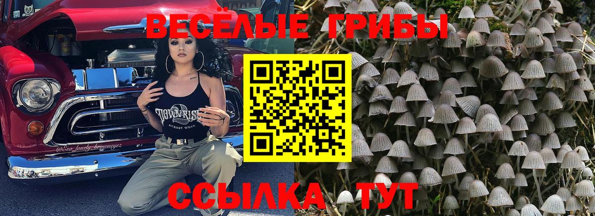Псилоцибиновые грибы Magic Shrooms  Вход с VPN  Новоалександровск 